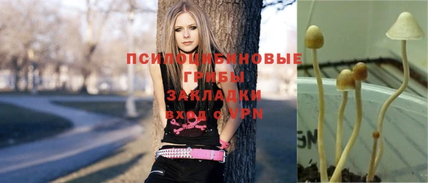 скорость mdpv Новозыбков