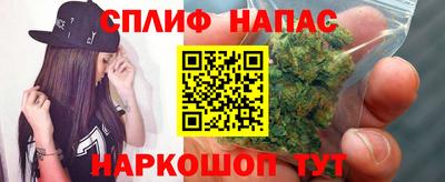 ешки Гай