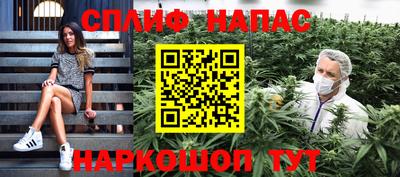ешки Гай