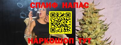 ешки Гай