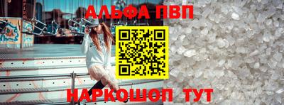 ешки Гай