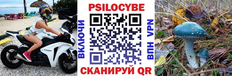 Галлюциногенные грибы Cubensis Котлас
