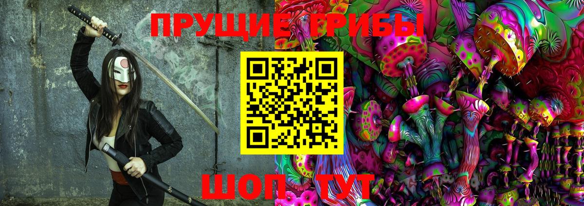 Галлюциногенные грибы Psilocybine cubensis  Котлас 