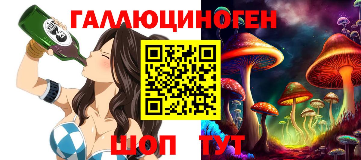 Котлас  Псилоцибиновые грибы MAGIC MUSHROOMS  дарнет шоп  Вход с VPN 
