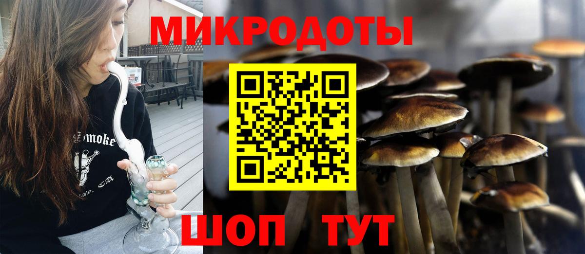 Галлюциногенные грибы мухоморы Котлас